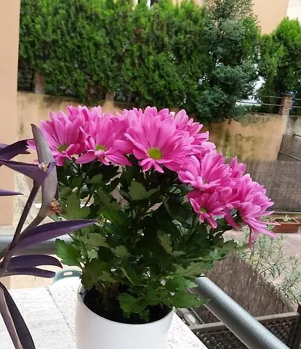 Апартаменты Holiday Home Roma *